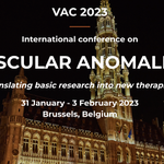 Photo by vascular development lab (@makinenlab)