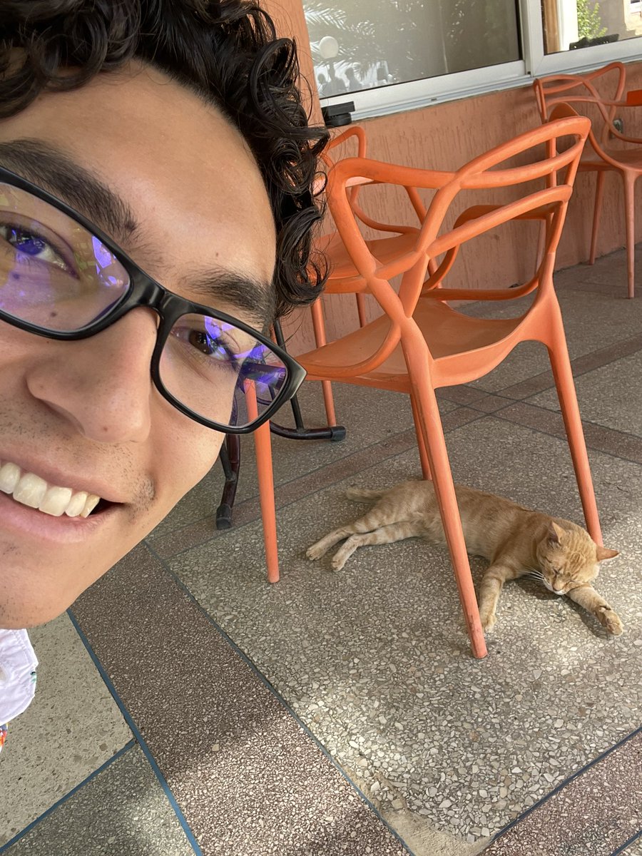 HazaelDB's tweet photo. Hoy me lo encontré en Marruecos 🇲🇦 😂🐱 https://t.co/PMkorJuU69