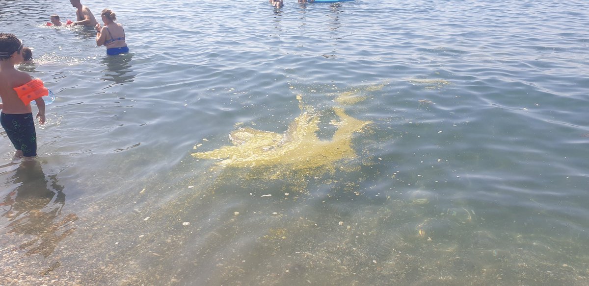 Rafael Nieto Serrano tweet media