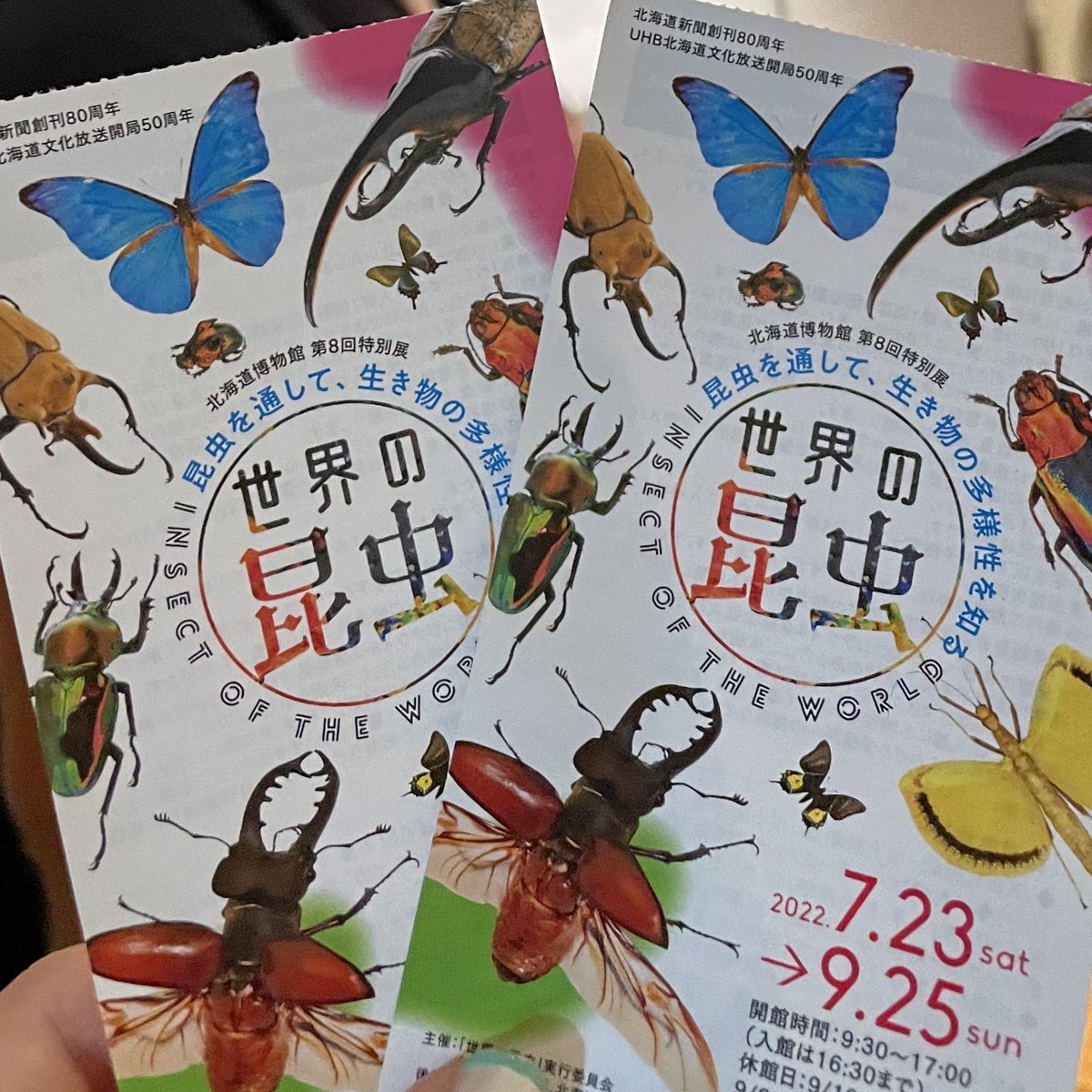 Astronaut1210's tweet photo. 昆虫展とても良かった！標本から生きたのまで^ ^やっぱり、虫さいこうに熱い！！ https://t.co/CbjfZc2Lhy