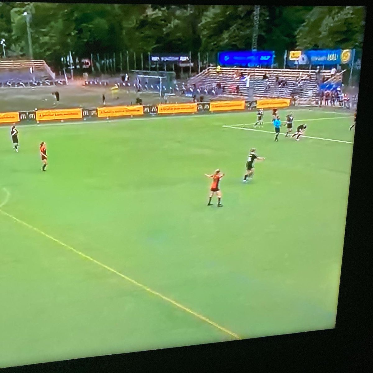 Stacy Paleen tweet media