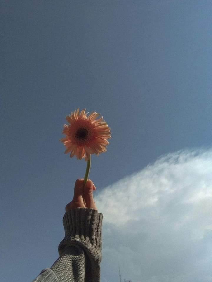 sunflow23002724's tweet photo. I change when inside i change.🥲🥀
ฉันเปลี่ยนไป เมื่อข้างในฉันเปลี่ยนแปลง.🥀🖤

#คําคมภาษาอังกฤษ #แคปชั่นภาษาอังกฤษ #คําคมเศร้า #แคปชั่นเศร้า #คําคมความรู้สึก #แคปชั่นความรู้สึก #แคปชั่นเด็ดๆโดนๆ #คําคมเด็ดๆ https://t.co/K5y75iP2wI