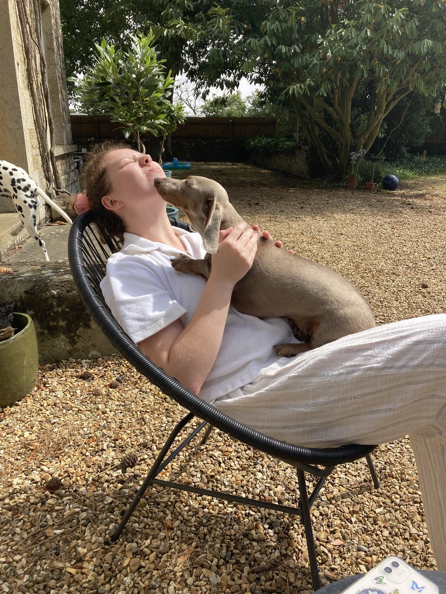 AlexMacras's tweet photo. Still utterly adored and ruling the roost 💙. #GeneralGuster #pupdate #loveliveson https://t.co/o4yxEXLH6v