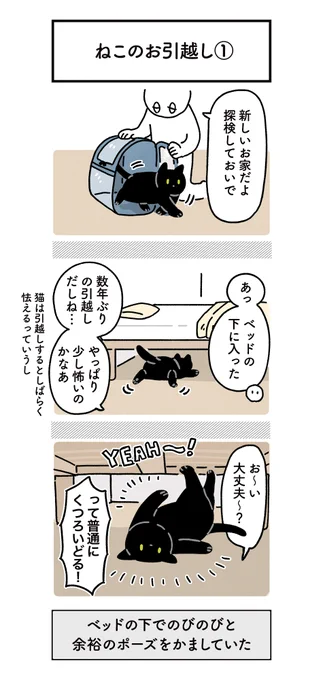 ねこと一緒にお引越ししたときの絵日記 #ろんの絵日記 