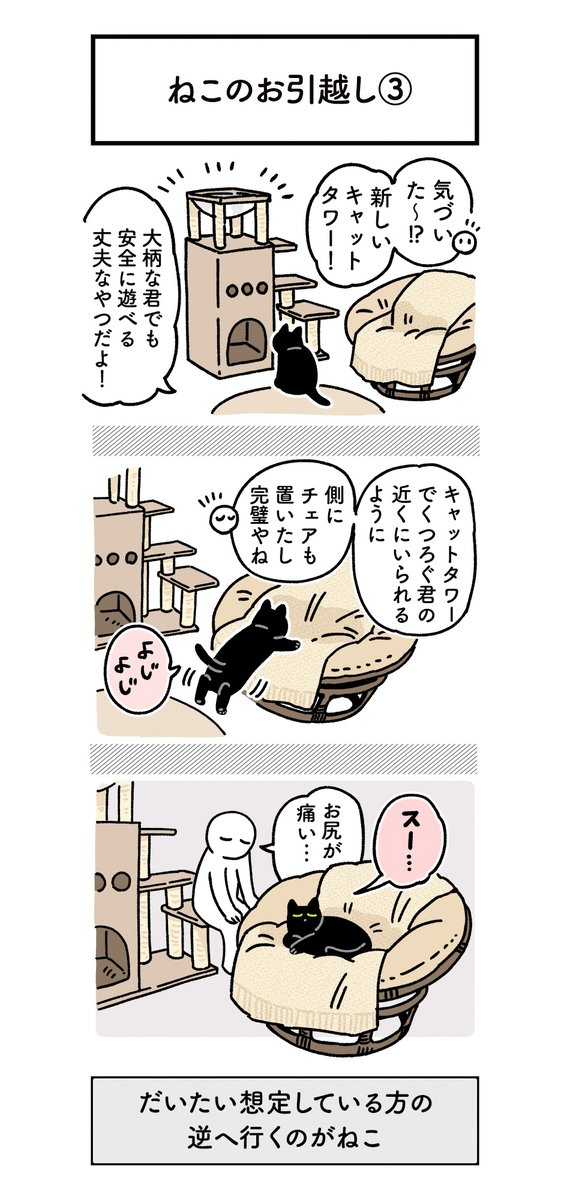 ねこと一緒にお引越ししたときの絵日記 #ろんの絵日記 