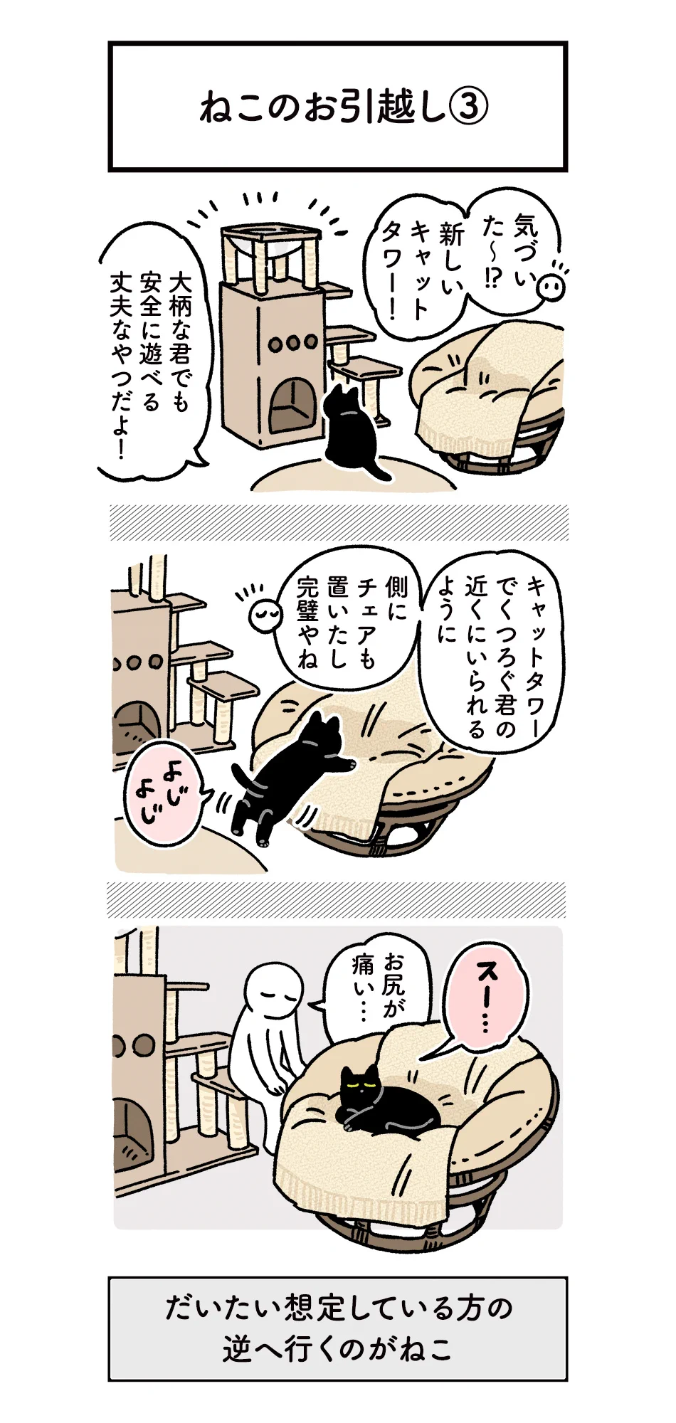 終始可愛さに溢れてる！愛猫と一緒に引越しをしたときのエピソード！