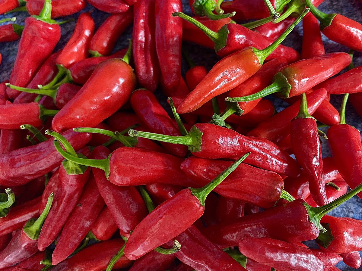 Perthyans tweet media