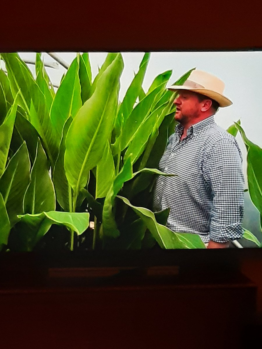 CBeale1's tweet photo. Have only just caught up with the very talented and blooming hard-working Mark and Emma of @ToddsBotanics - #MasterGrowers at #RHSHamptonCourt - on @GWandShows. Lovely piece. So sorry I couldn't be with you & the @LouAtLarches PooCrew. Congratulations!🥂🍾 https://t.co/ciVT9paiCT