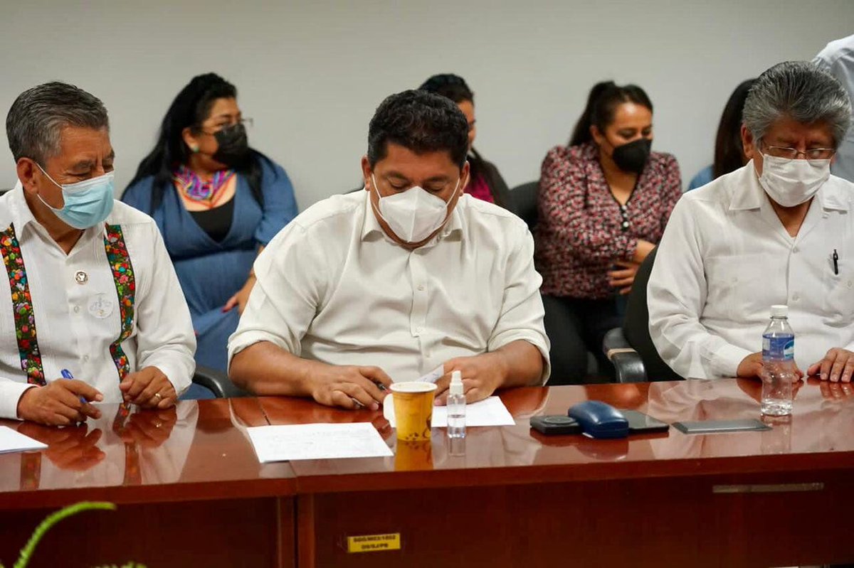 Sentidos Oaxaca tweet media