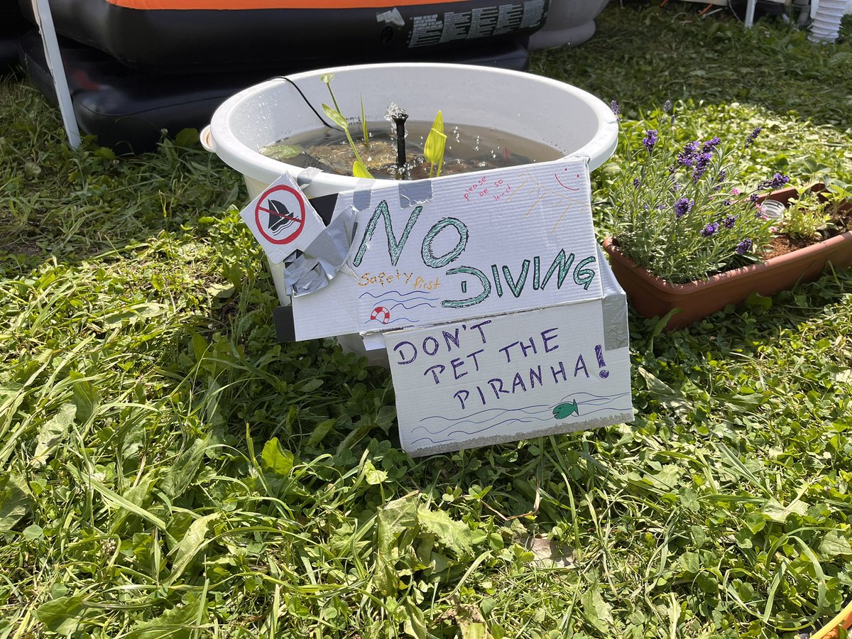 cera din tweet media