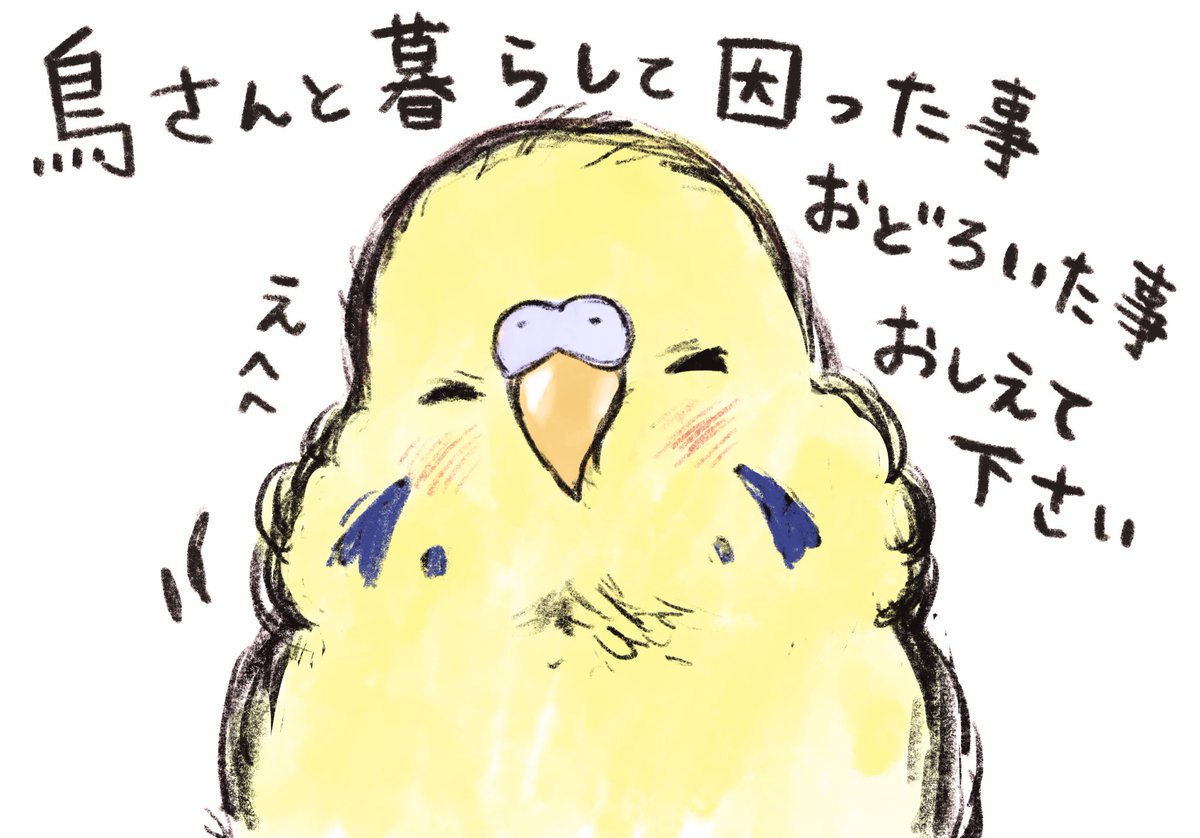 こんばんは!
連載マンガの参考にさせて頂きたいので

宜しければ鳥さんと暮らすうちに
困った事や驚いたエピソードをお寄せ下さると
嬉しいです✨🤲 