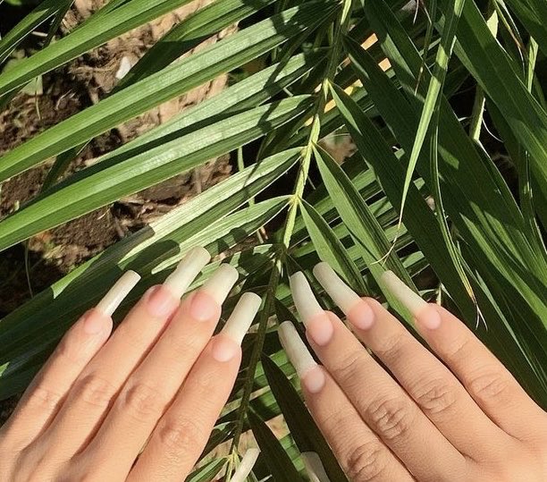 Clarita228's tweet photo. Summer nails 🌴 https://t.co/2Z2HpHURql