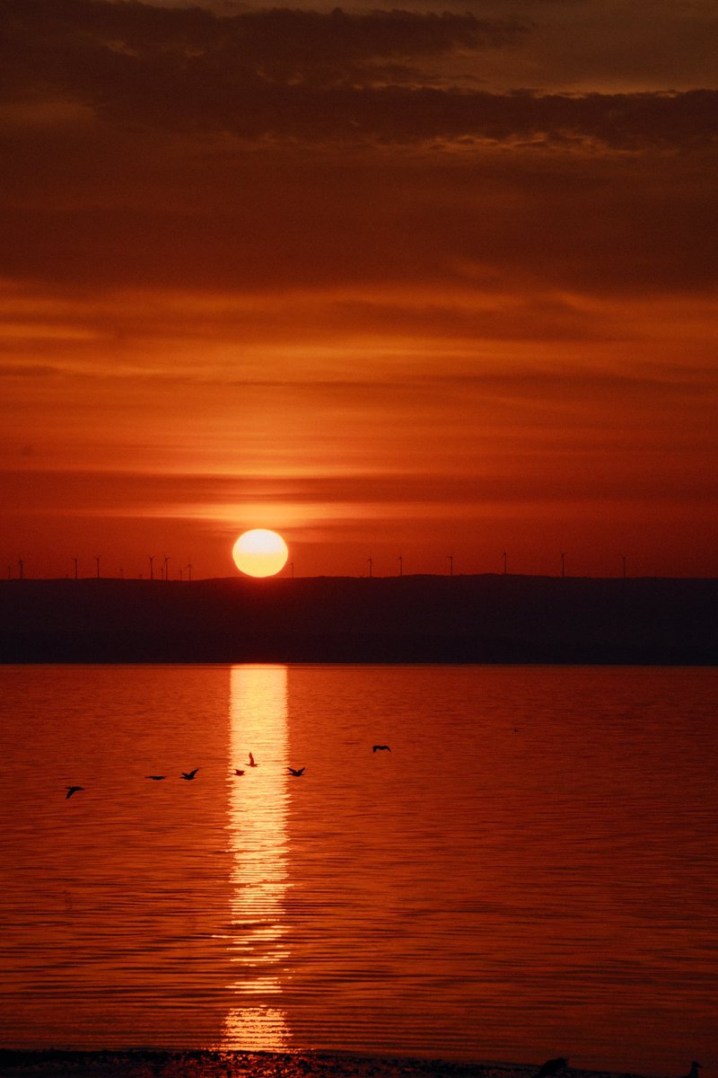 Gm NFT artists! 
Early mornings are quiet, peaceful, productive, energizing… and our favorite part of the day.
Have a great Saturday ☀️

#NFTCommunity #NFTartist #nftphotographer #NFTmusic