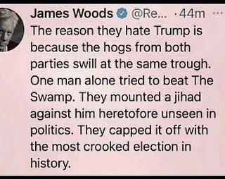 James Woods sums up the attack on everything Trump as only he can...