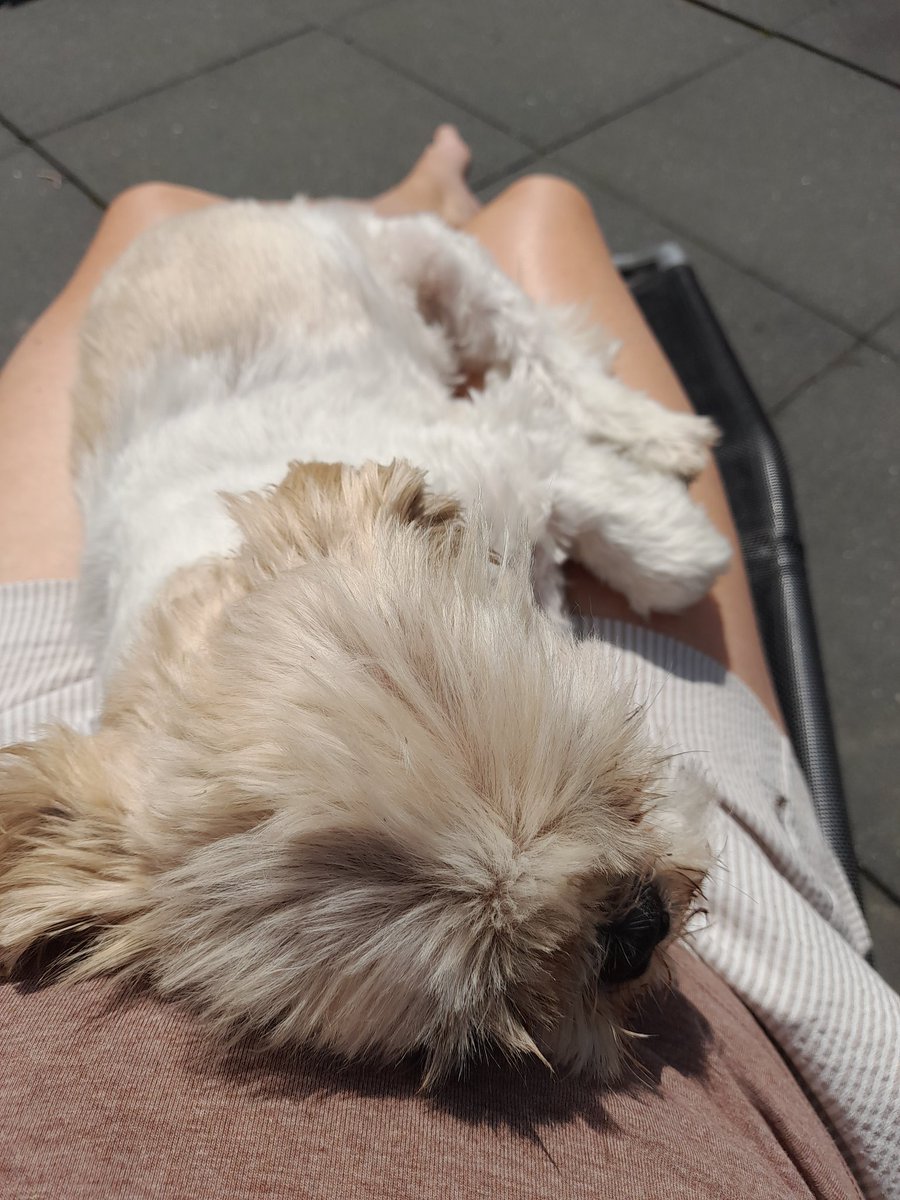 Quarantaine modus is on #COVID19