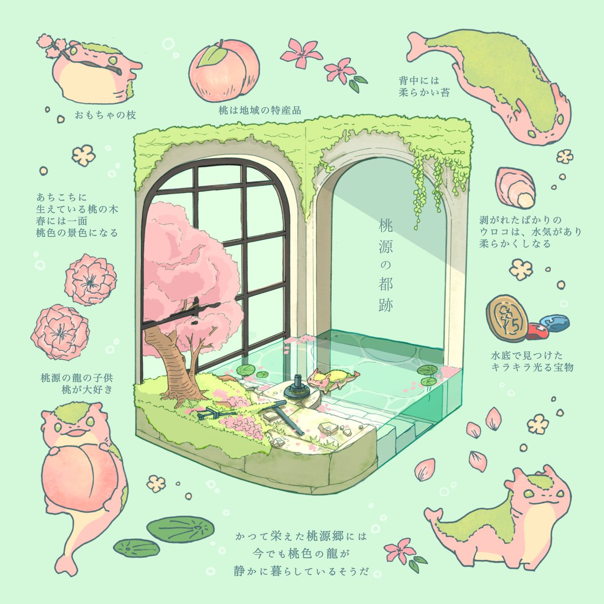 lily pad no humans window flower tree cherry blossoms water  illustration images