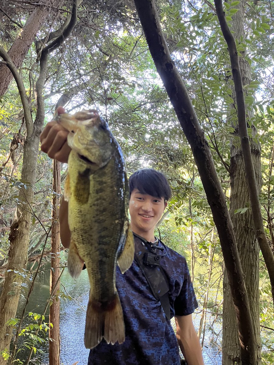 lemonfishing08's tweet photo. 岸際に入ってくバスを見てドリフトクローで誘ってたらミスバイト、、、
少し時間空けて入り直しカットテールノーシンカー入れたら1発！！粘り勝ち
#バス釣り
#ジャッカル
#シマノ
#ゲーリー
#カットテール
#ゾディアス
#ナスキー https://t.co/KCnI9QSbM0