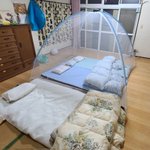 家族の寝床を準備した結果。まさに「蚊帳の外」という言葉がぴったりな状態が出来上がった。