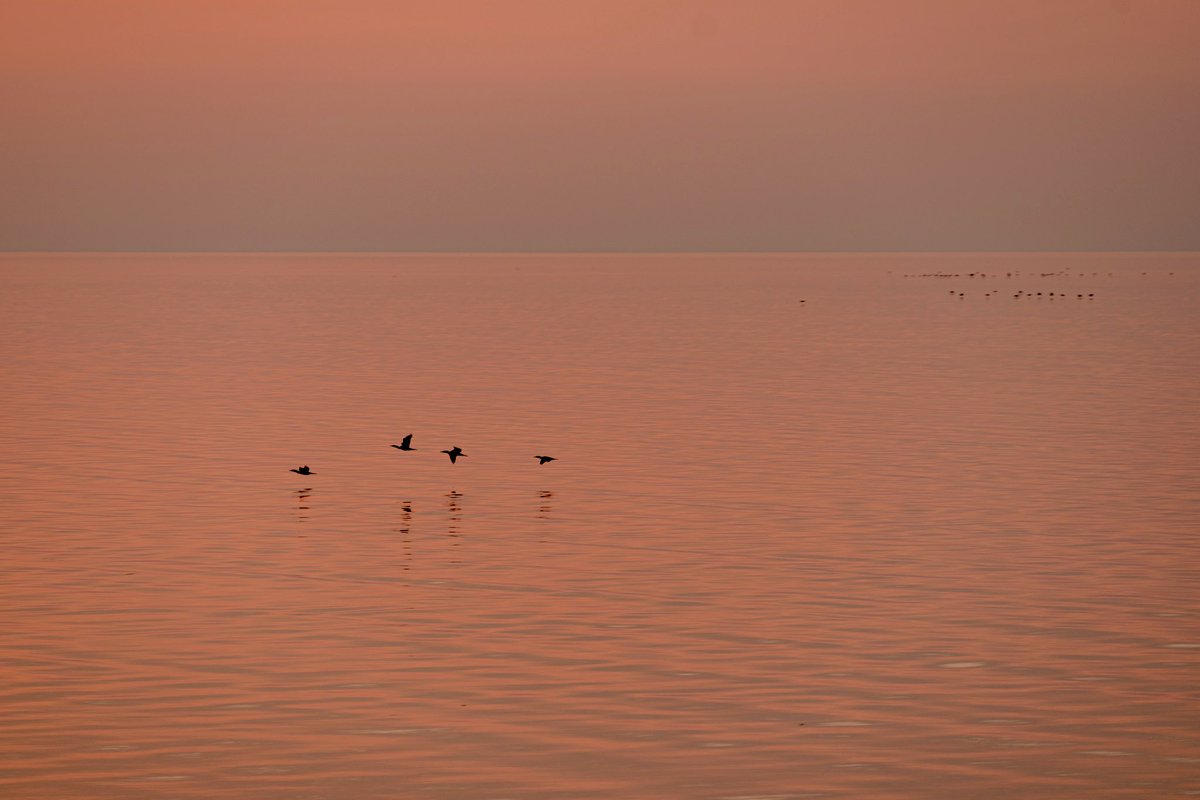 Gm ☕️ Happy Saturday! 

Today is among the greatest gifts we have ever been given. Let’s use it wisely and refuse to waste a single one.
#NFTCommunity #nftarti̇st #nftphotographer