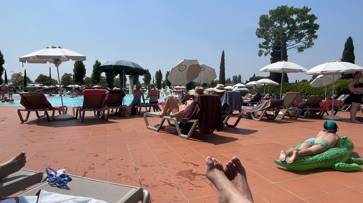 Martin Fuller tweet media