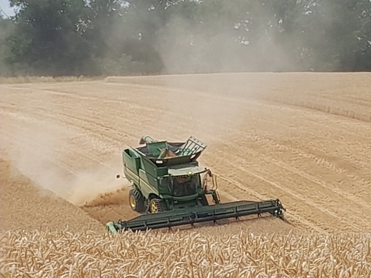 Mark Fletcher tweet media