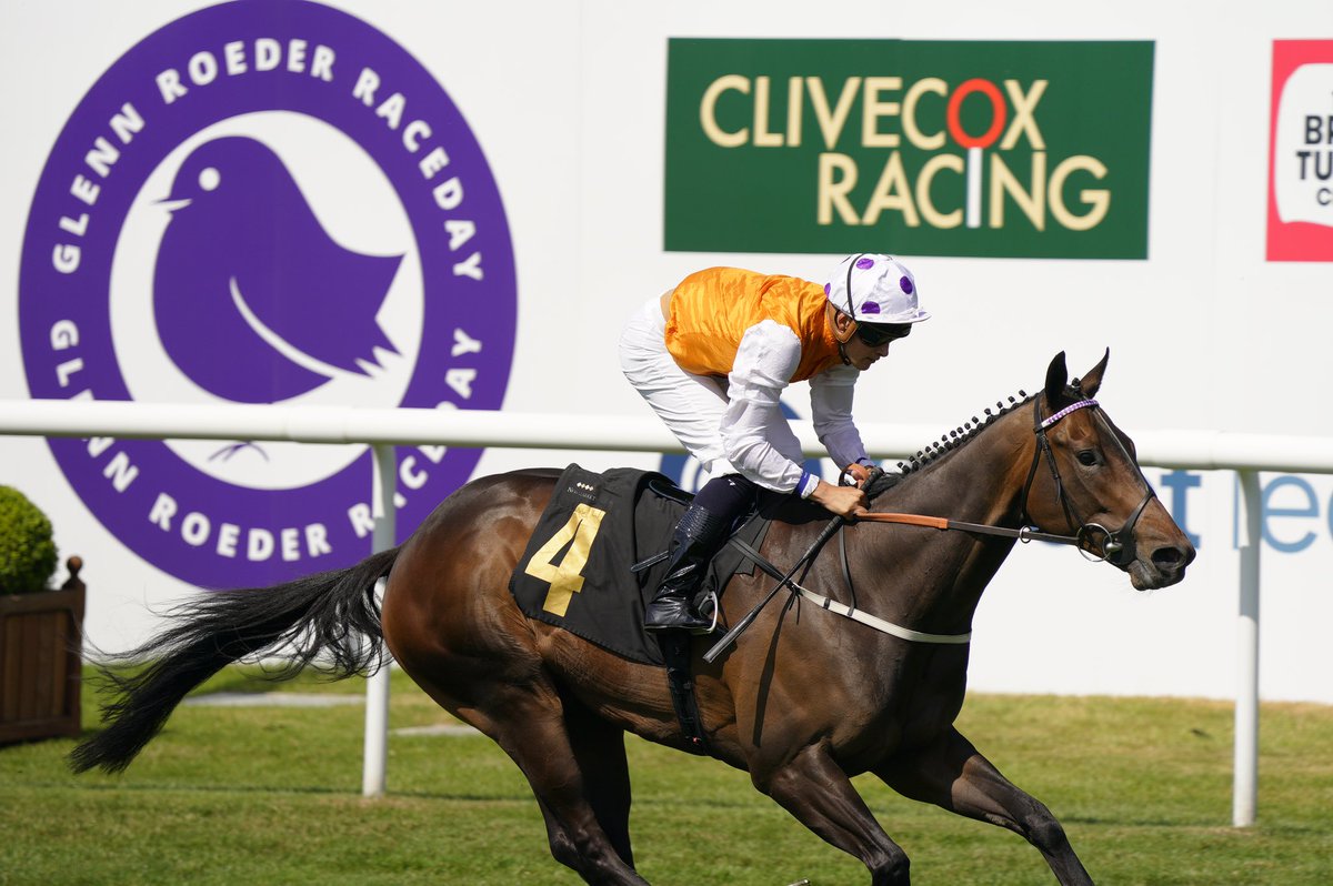 GRoederRaceday's tweet photo. Congratulations to Lethal Levi who wins the Glenn Roeder Race Day Handicap for Karl Burke under Pierre-Louis Jamin 👏🏻 

#theglennroederraceday #acurecantwait #braintumour #braincancer #accelerateacure https://t.co/Kw7wwrK8lH