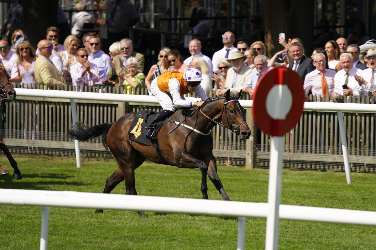 GRoederRaceday's tweet photo. Congratulations to Lethal Levi who wins the Glenn Roeder Race Day Handicap for Karl Burke under Pierre-Louis Jamin 👏🏻 

#theglennroederraceday #acurecantwait #braintumour #braincancer #accelerateacure https://t.co/Kw7wwrK8lH