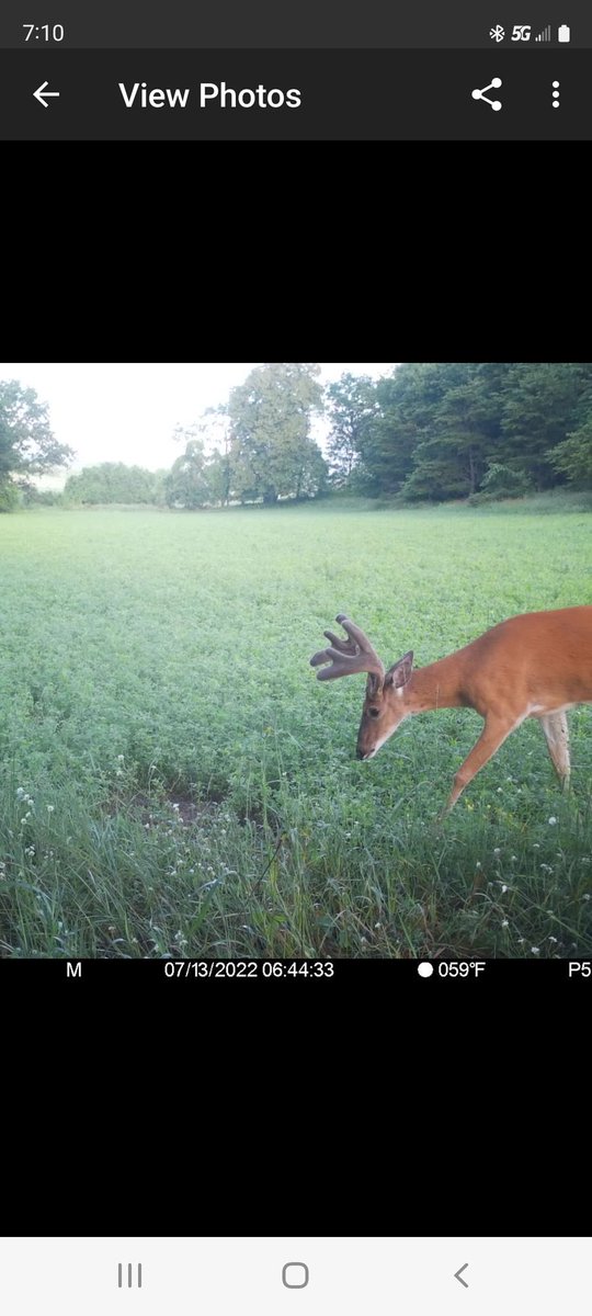 Love getting pictures like this sent to my phone!!

Check out what Spartan has to offer at go.spartancamera.com/?ref=xNJKI4miO… 
Use my code NATHANROEMER2 to save 10% <a href="/spartancamera/">Spartan Camera</a>