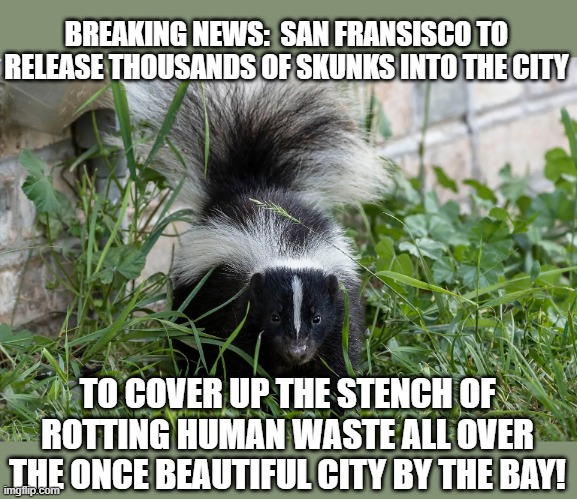 therealtwfuller's tweet photo. #SaturdayMorning #SaturdayVibes #Memes #SanFrancisco #BREAKING https://t.co/NXiWTreLf1