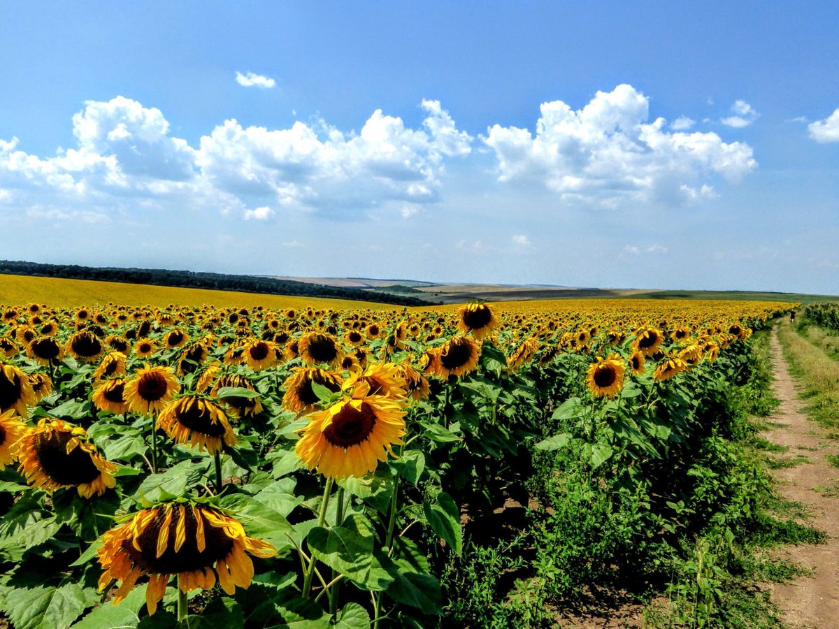 marcflood's tweet image. Weekend Favs July 23 dlvr.it/SVND3K #Tools #CloudAPI