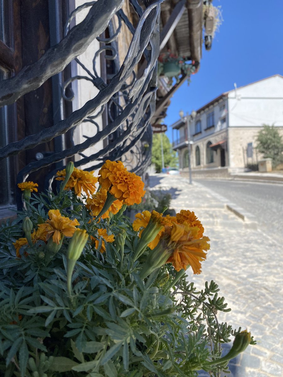 Gakgoşlar diyarı Elazığ-Harput
