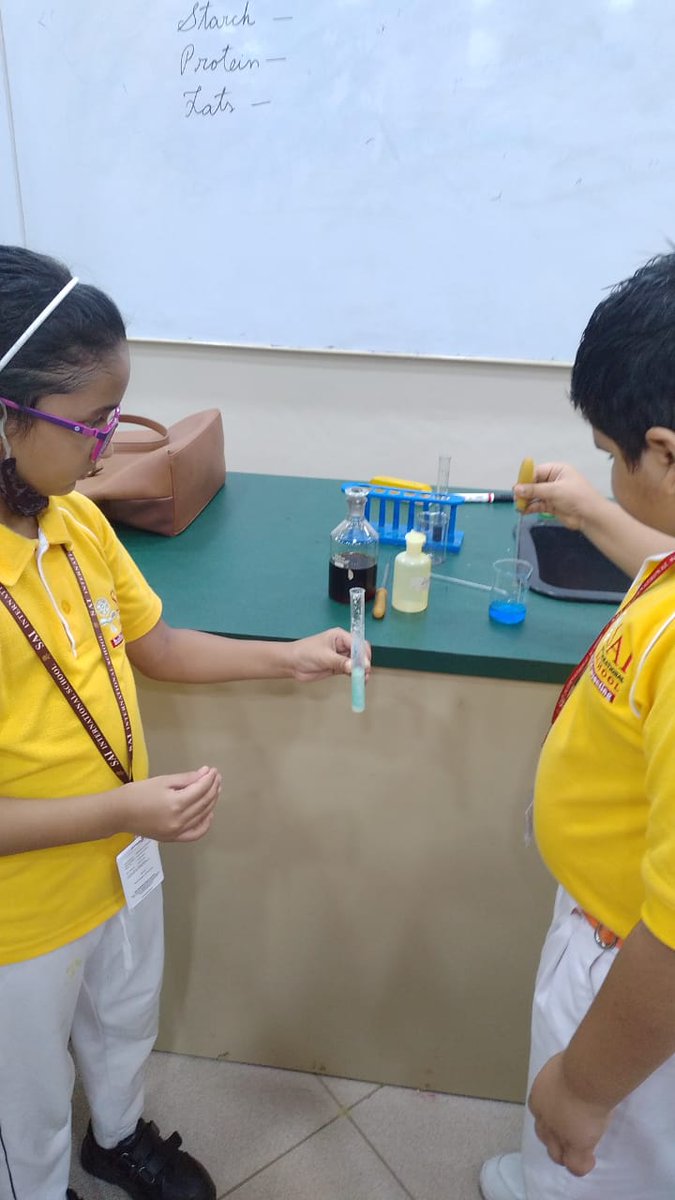 SAI_Edu_In's tweet image. The children of Class-IV learned about different types of nutrients and also performed experiments to mark the presence of carbohydrates, fats and proteins in different food samples. 
#nutrients
#iodinetest
#biurettest