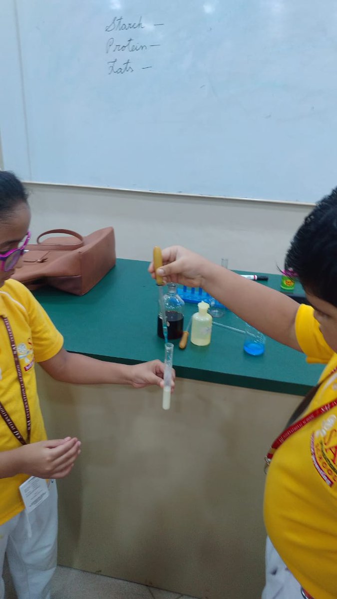 SAI_Edu_In's tweet image. The children of Class-IV learned about different types of nutrients and also performed experiments to mark the presence of carbohydrates, fats and proteins in different food samples. 
#nutrients
#iodinetest
#biurettest
