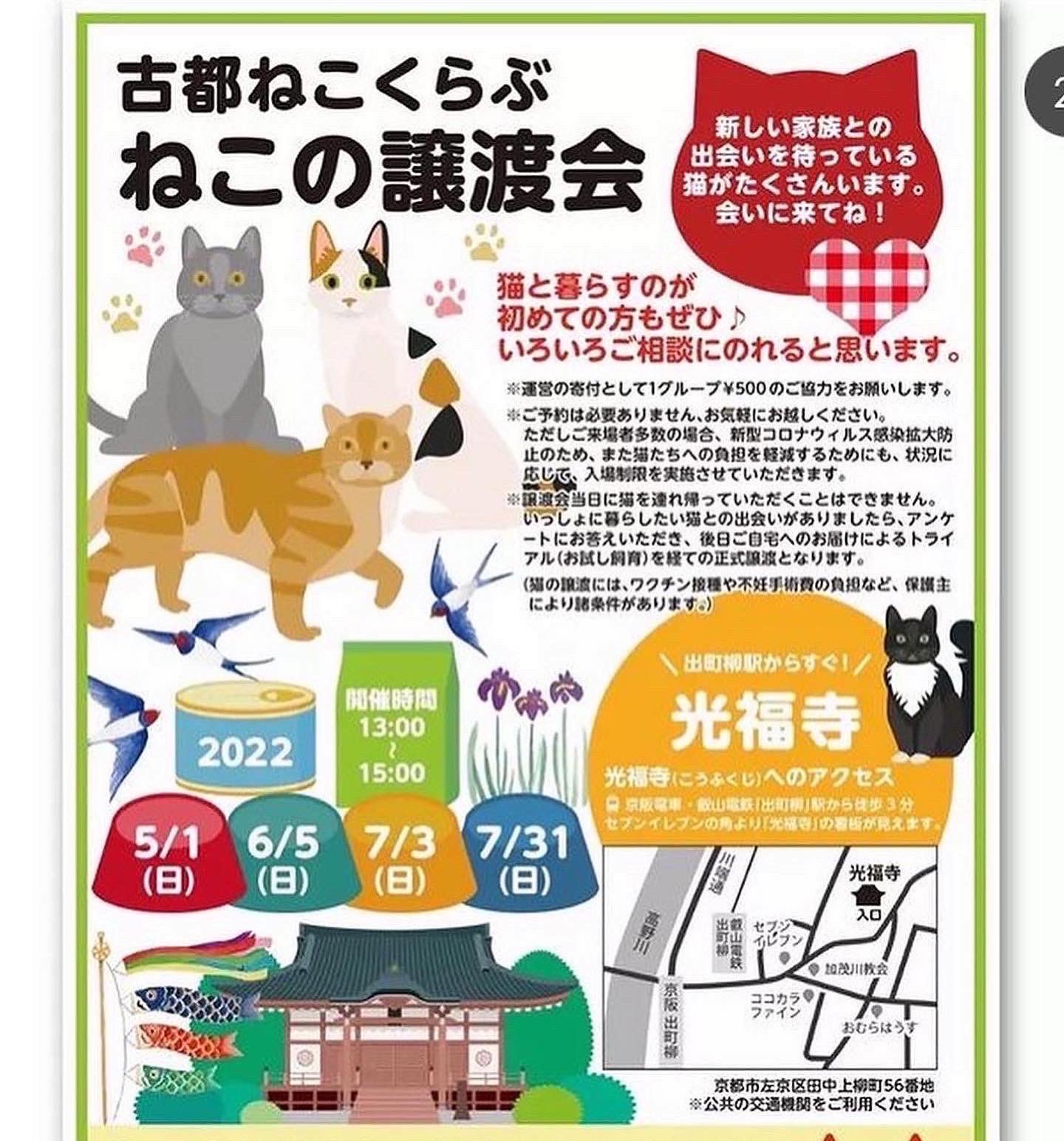 トロｎｅｋｏ にしたにけいこ Neko Karin Twitter