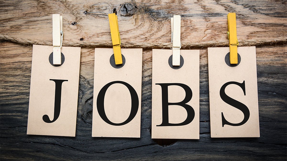 adeaweb's tweet photo. Position Available: Clinical Associate Professor / Clinical Professor &amp; Director of Oral and Maxillofacial Radiology - Department of Oral and Maxillofacial Pathology, Radiology, and Medicine, @NYUDental, New York, NY #DentEdJobs
https://t.co/hcXTOaOhnL https://t.co/vTcuZ775UR