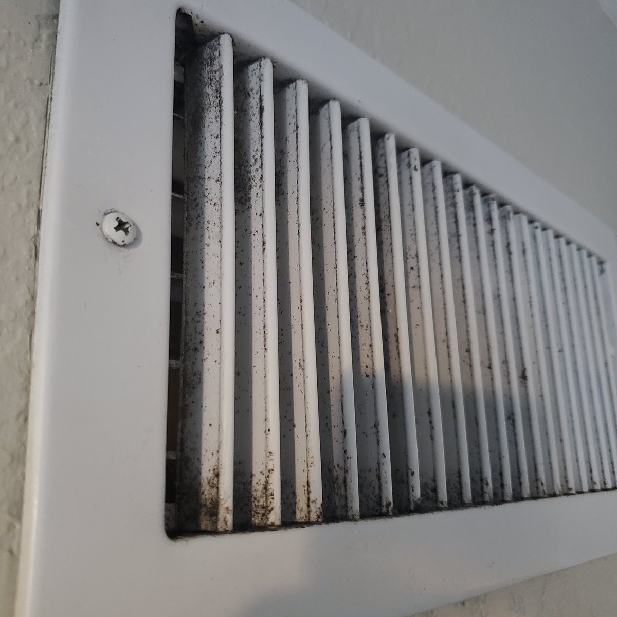 Anderson Resende tweet media