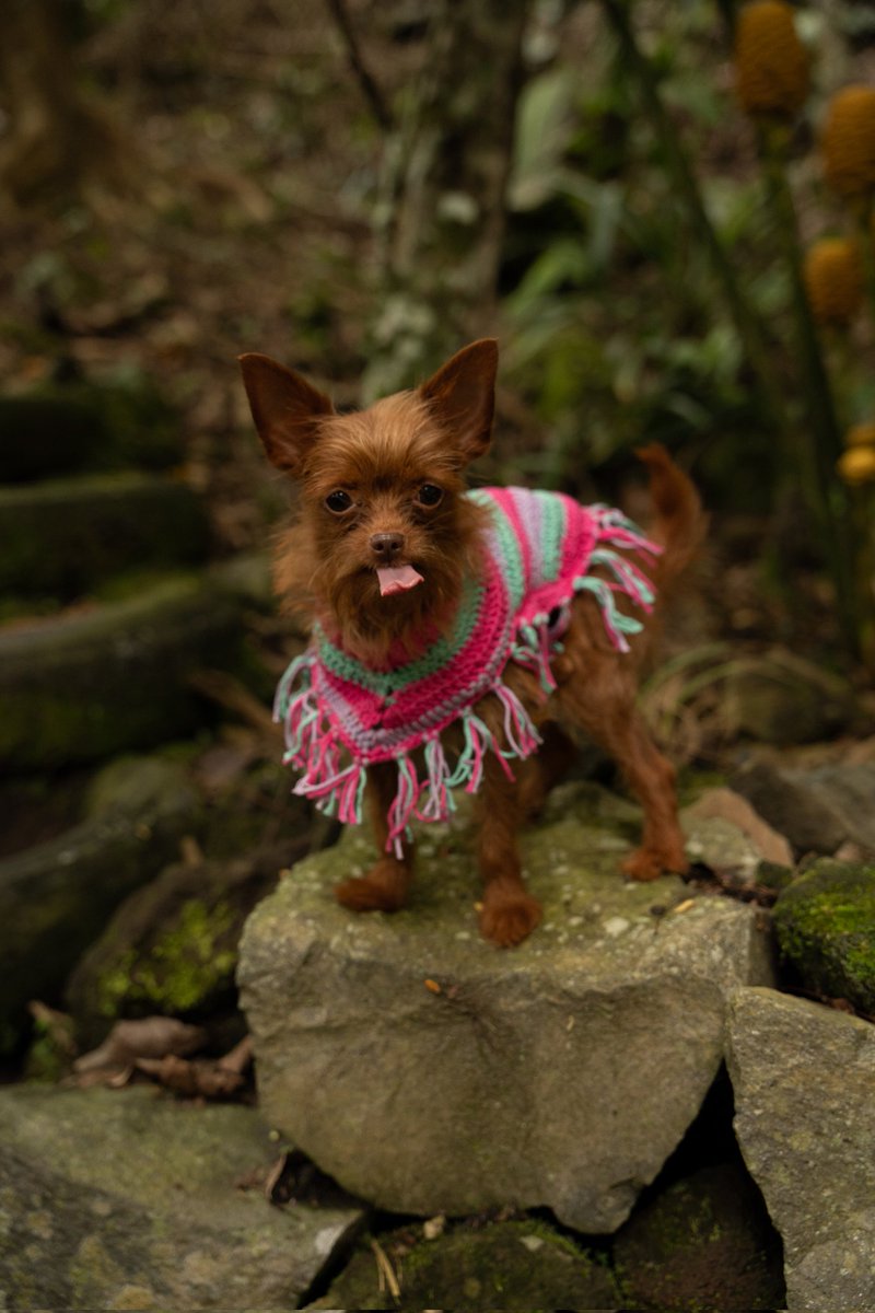 Fácil fácil doy la vida por Almencita 🥺😭❤️❤️ porque sos tan linda dios