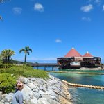 ツイートに含まれる画像