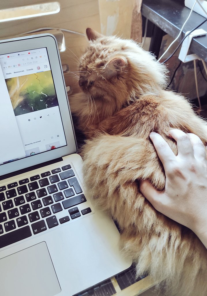 Who else uses a cat instead of a mouse with their computer? 😹😹😹