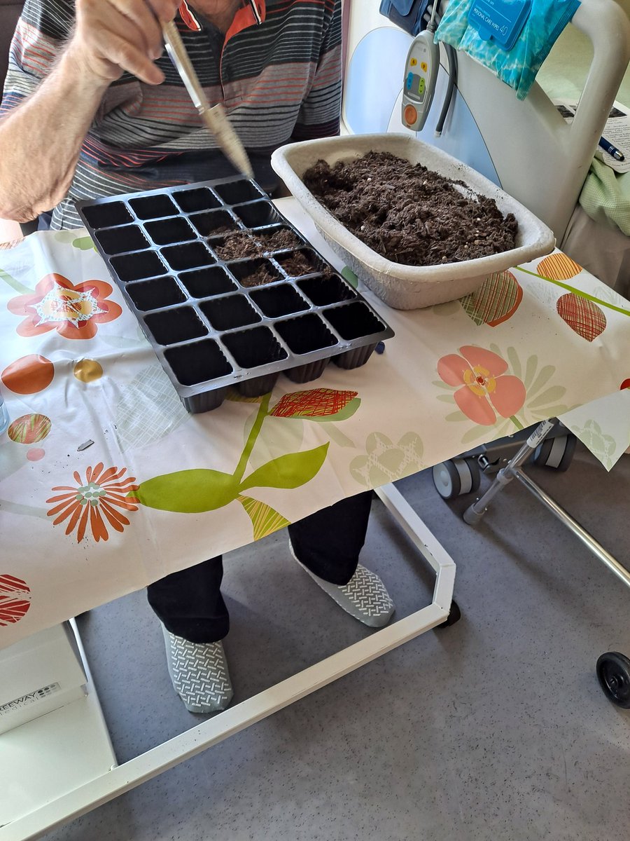 @LPT_Activities Dalgleish Ward. We don't have much garden area, but this patio area gives our patients something lovely to look out onto. These plants have all been chosen, set from seed, potted on and now looked after by patients that enjoy gardening as an activity.🌻🍅