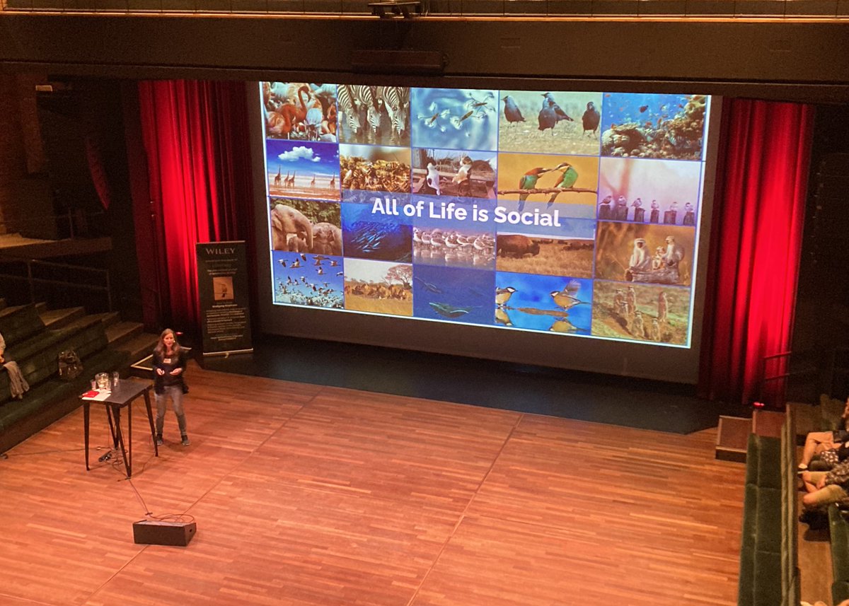 Congratulations to wonderful @LysanneSnijders for receiving the Niko Tinbergen Award by the @EthoGes at <a href="/ecbb2022/">ECBB 2022</a>! Very inspiring listening to her amazing research on social dynamics in great tits &amp; guppies