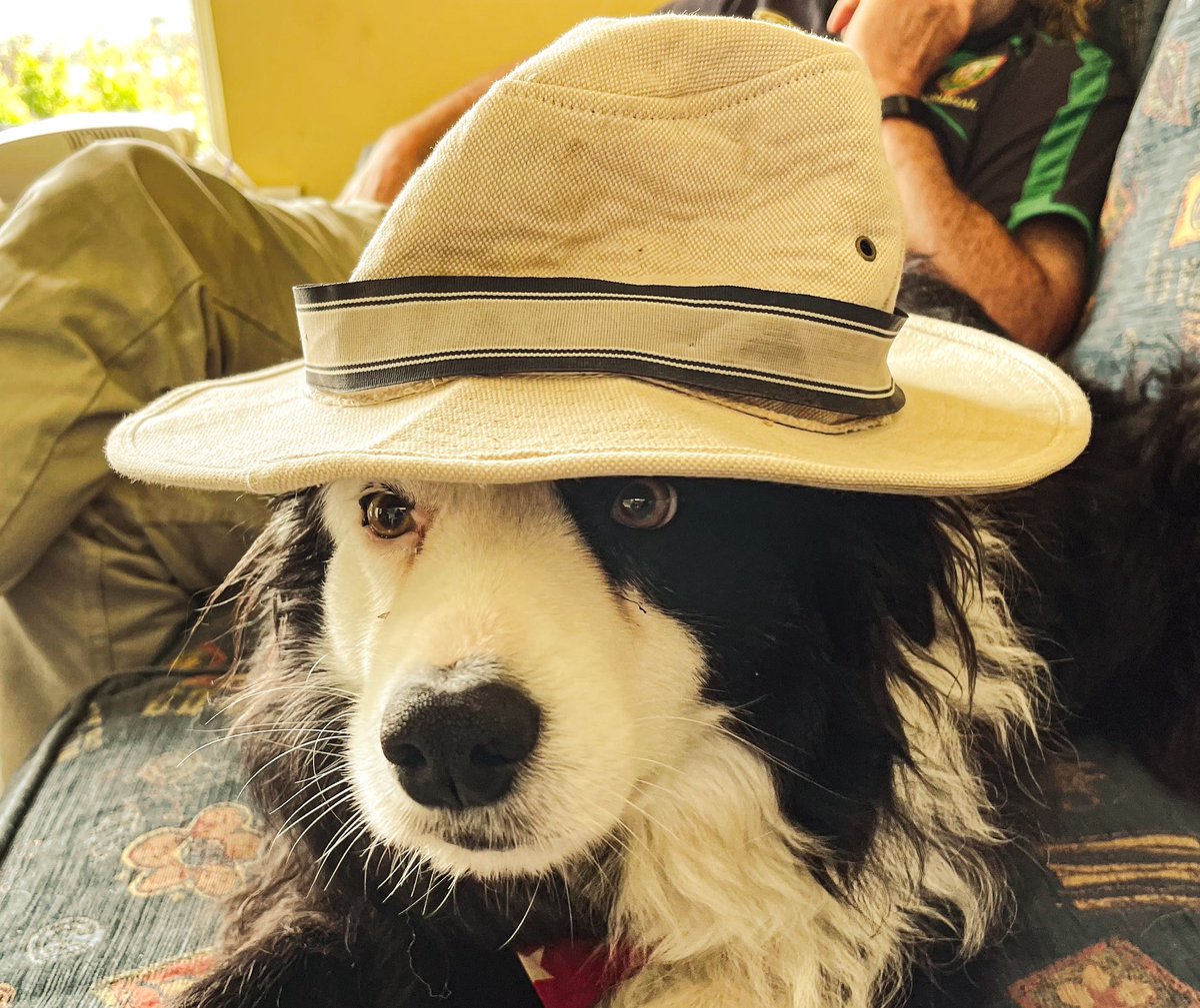 "The  Dog from Delmonte says Woof'
So nice to see Goitse back in Loch  an Iúir ♥️🎈
<a href="/annie_mcginley/">Annie McGinley</a> <a href="/EddieDee_/">Eddie Dee</a> 
@Tomaijohnnymici