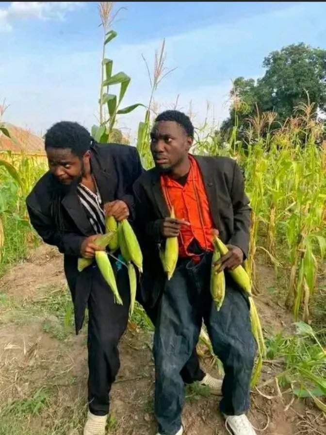 Etim11Etim's tweet photo. Unknown corn men 🌽🌽🌽🌽 don enter akwa ibom state 😊😊😊😊 https://t.co/epnWRKm9m8