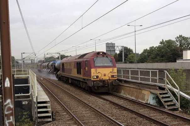 Robin Morel tweet media