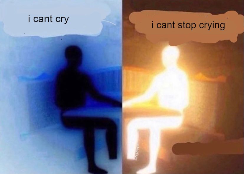 i have only two moods