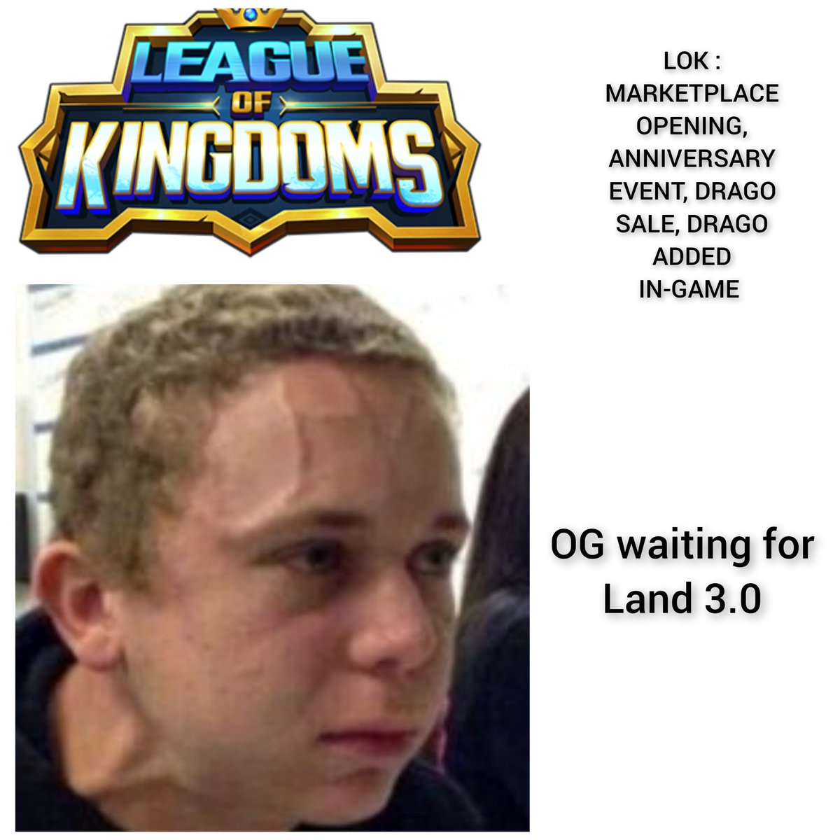 HUMMINGBIRD tweet media