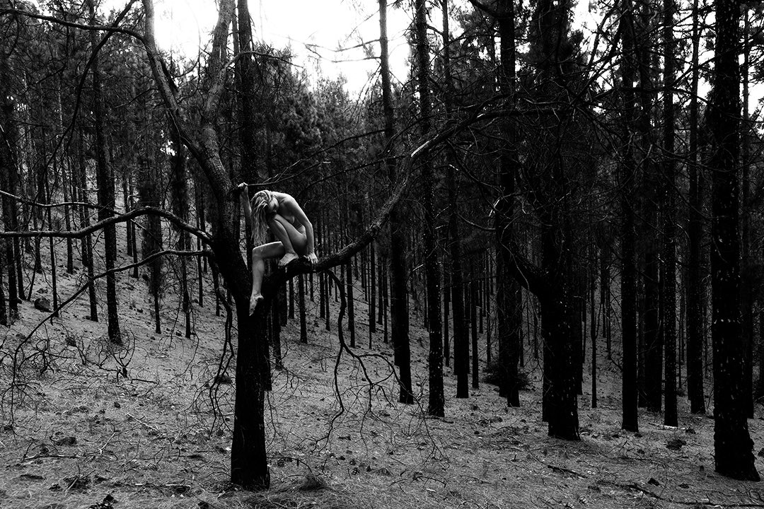 From a forest recovering from a wildfire on Gran Canaria
With Lidiia