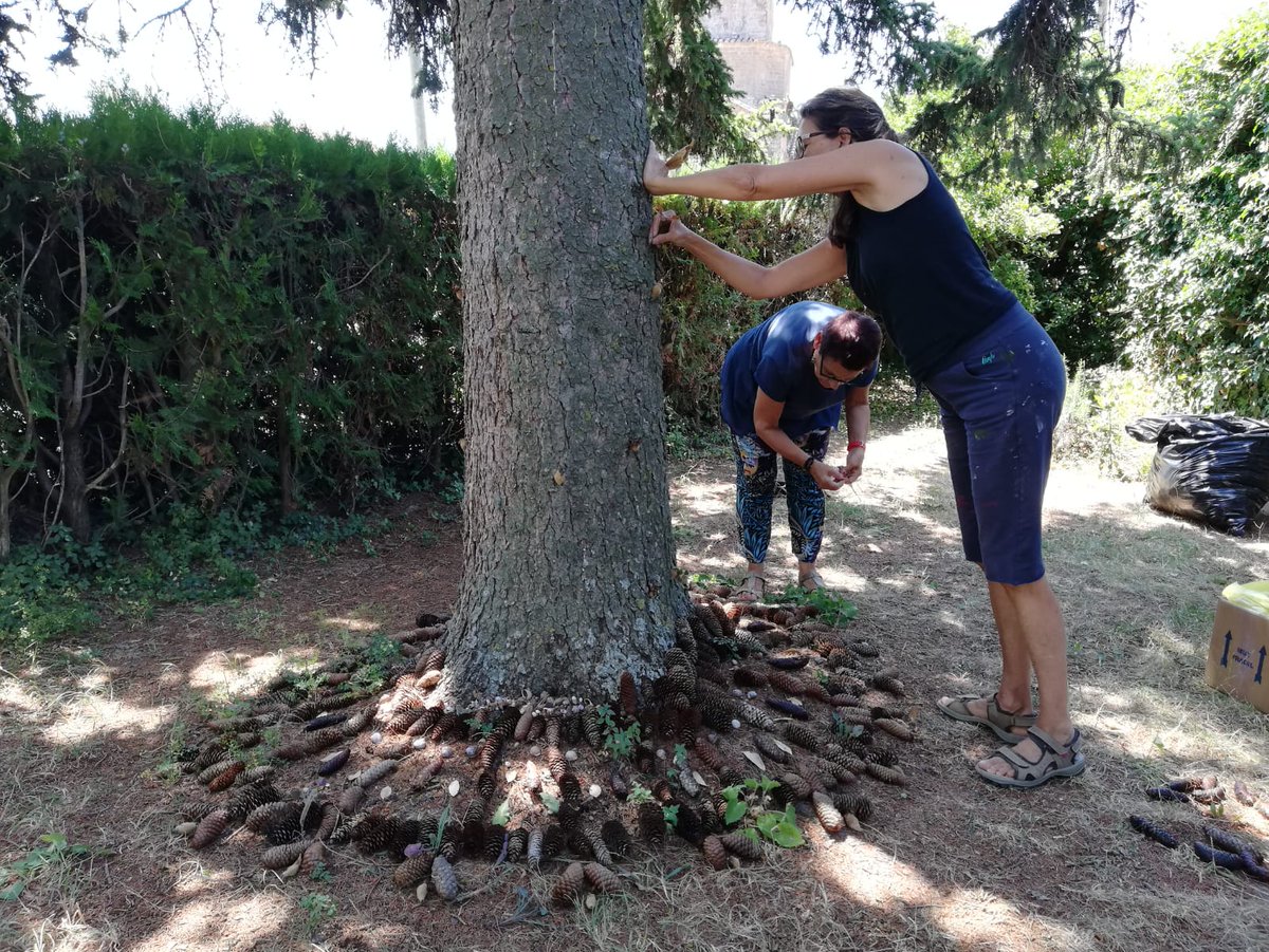 viulestany's tweet photo. Què podem crear a partir de la paraula "pinya"?

una experiència creativa, amb la #natura com a protagonista, de la qual han pogut gaudir aquest matí les participants del TALLER NATURA I PROCÉS CREATIU, conduït per Marina Berdalet, en el marc d' #estanydart.

#procescreatiu #art https://t.co/pdMVhOcMQj