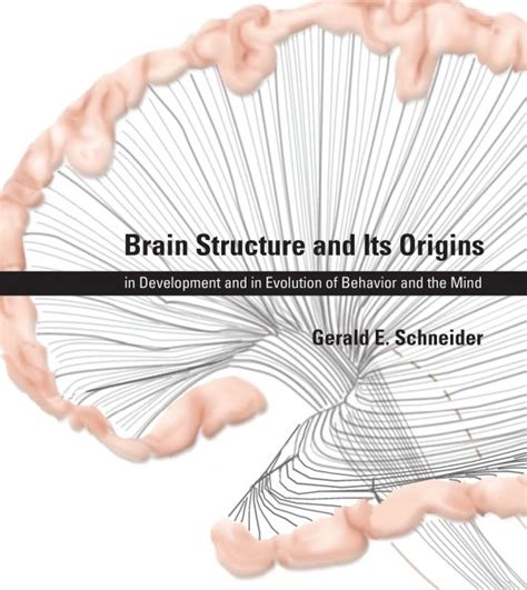 PessoaBrain's tweet photo. Another 𝗻𝗲𝘂𝗿𝗼𝗮𝗻𝗮𝘁𝗼𝗺𝘆 𝗯𝗼𝗼𝗸 that I highly recommend is this really excellent book by Gerald Schneider: Brain Structure and Its Origins. Comprehensive treatment of brain anatomy from a strong evolutionary standpoint. Some of you will enjoy! https://t.co/oRbz0f3st6