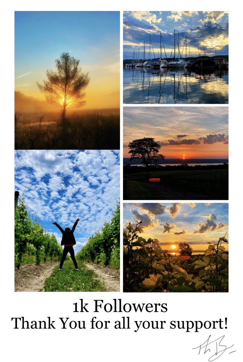 vineyardwarrior's tweet photo. 1k Followers, Wow! Thank You for all of your support! The number doesn’t mean nearly as much as the #photography community that has welcomed me in, and shown me so much creativity, positivity &amp; love.I have learned so much, and appreciate each and everyone of you! Love you all ❤️ https://t.co/vTA4amn4ti